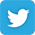 Twitter Icon